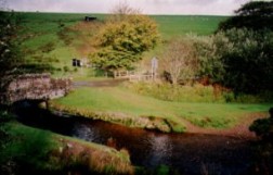 Danesbrook at Willingford Bridge